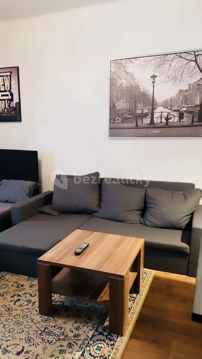 Pronájem bytu 2+1 55 m², Přemyslovská, Praha, Praha
