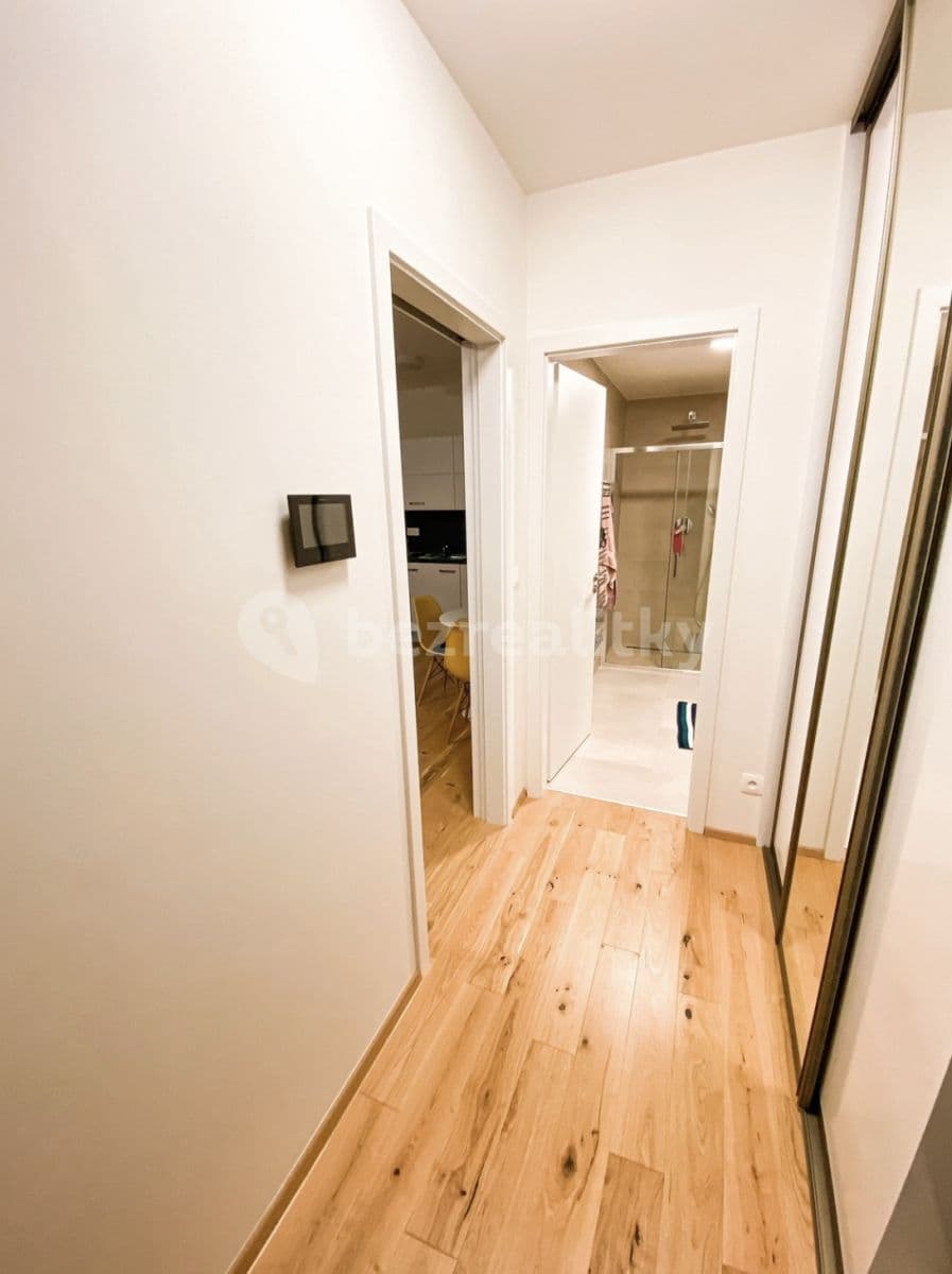 Pronájem bytu 1+1 30 m², Na Valentince, Praha, Praha