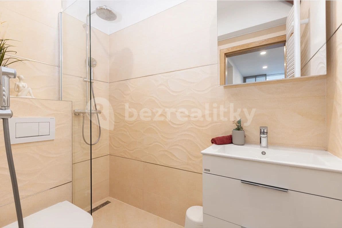 Pronájem bytu 1+1 30 m², Moravská, Praha, Praha
