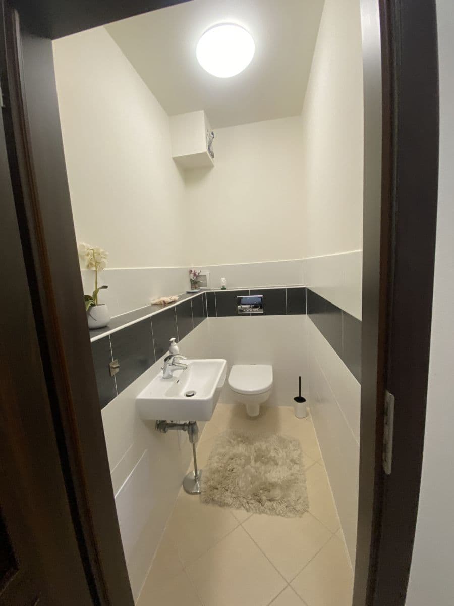 Pronájem bytu  52 m², Svitákova, Praha, Praha