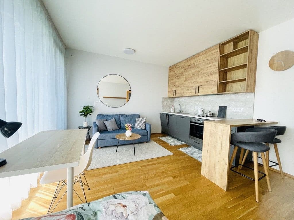Pronájem bytu  35 m², U pruhonu B, Praha, Praha