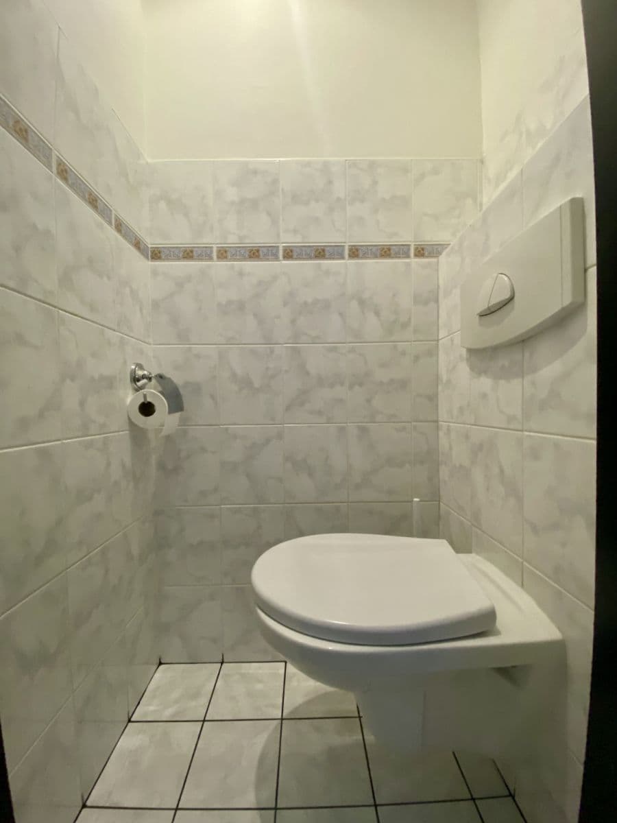 Pronájem bytu  33 m², Litoměřická, Praha, Praha