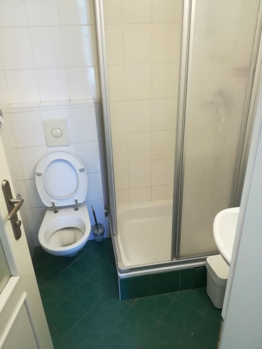 Pronájem bytu  300 m², Révová, Praha, Praha