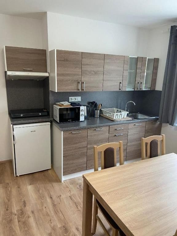 Pronájem bytu  32 m², Riegrova, Ostrava, Moravskoslezský kraj