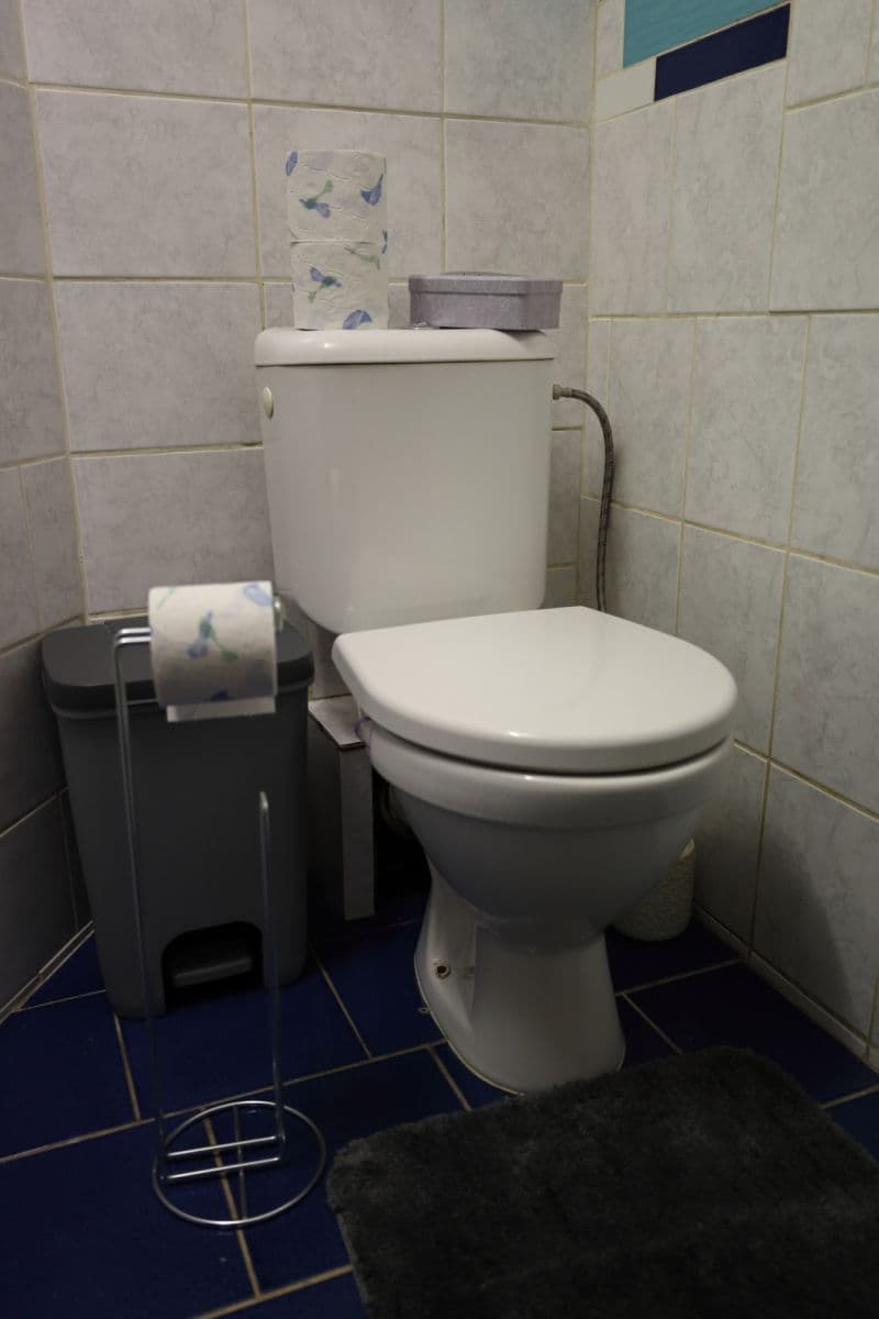 Pronájem bytu  47 m², Chocholouškova, Praha, Praha