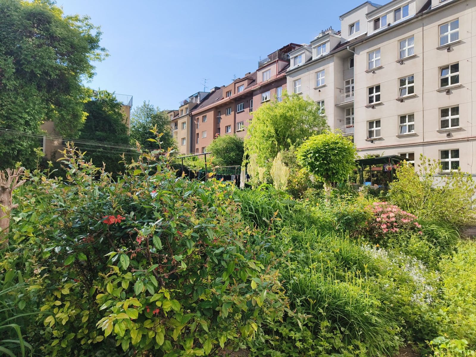 Pronájem bytu  28 m², Branická, Praha, Praha