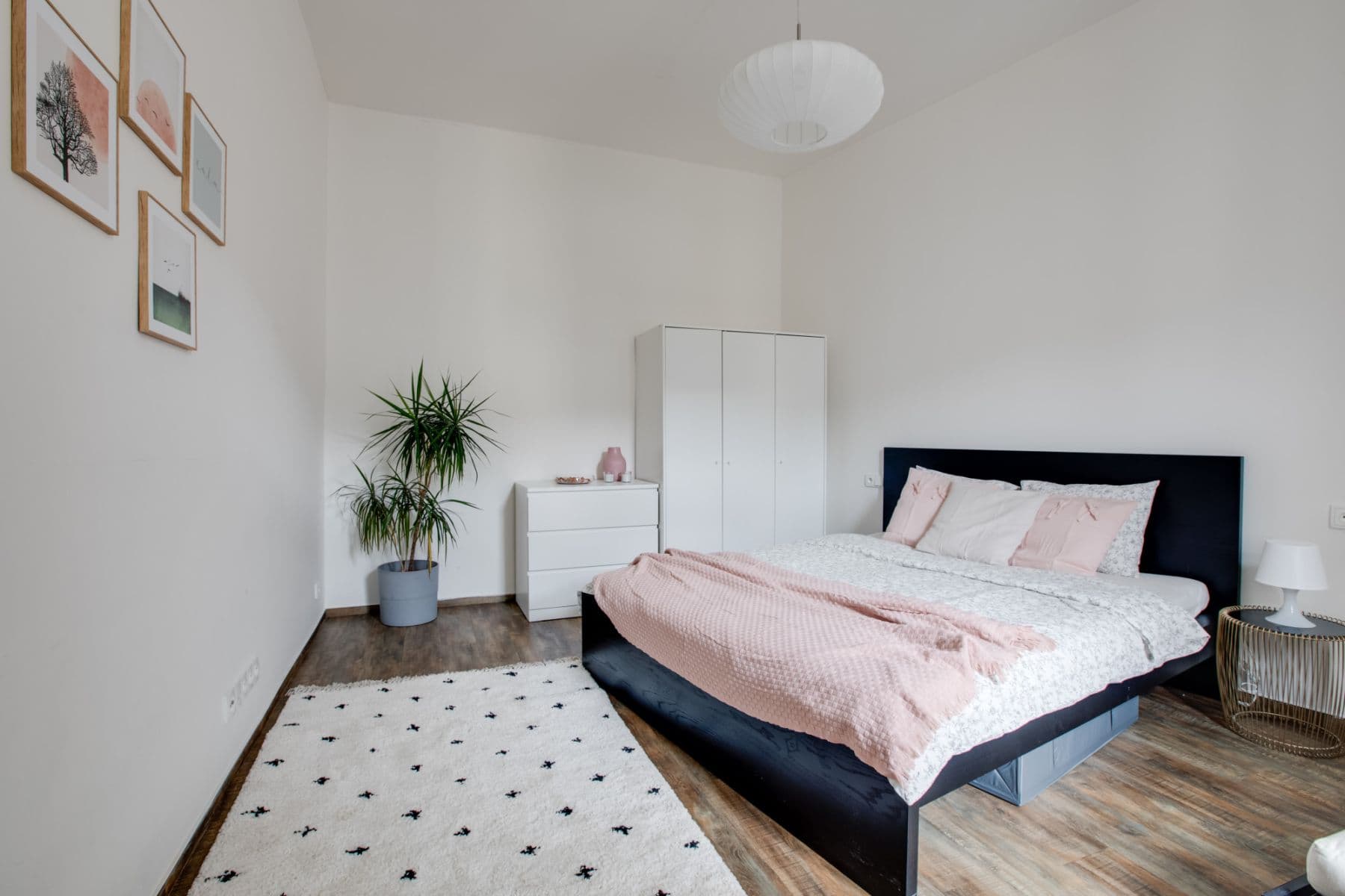 Pronájem bytu  72 m², U Akademie, Praha, Praha