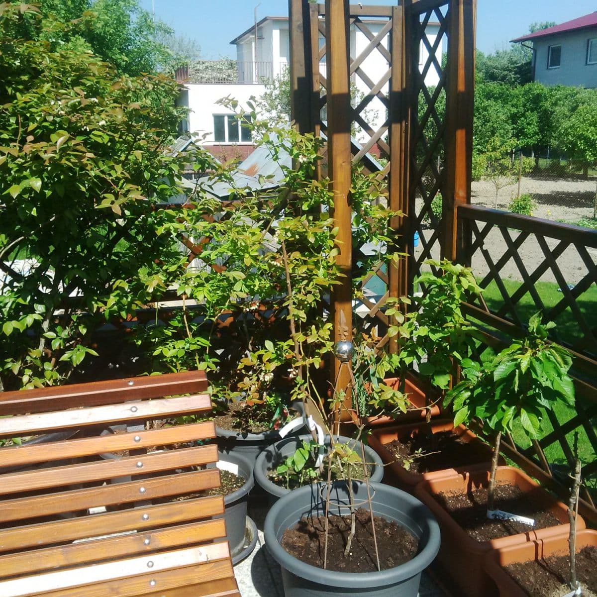 Pronájem bytu  24 m², Novobanská, Petržalka, Bratislavský kraj
