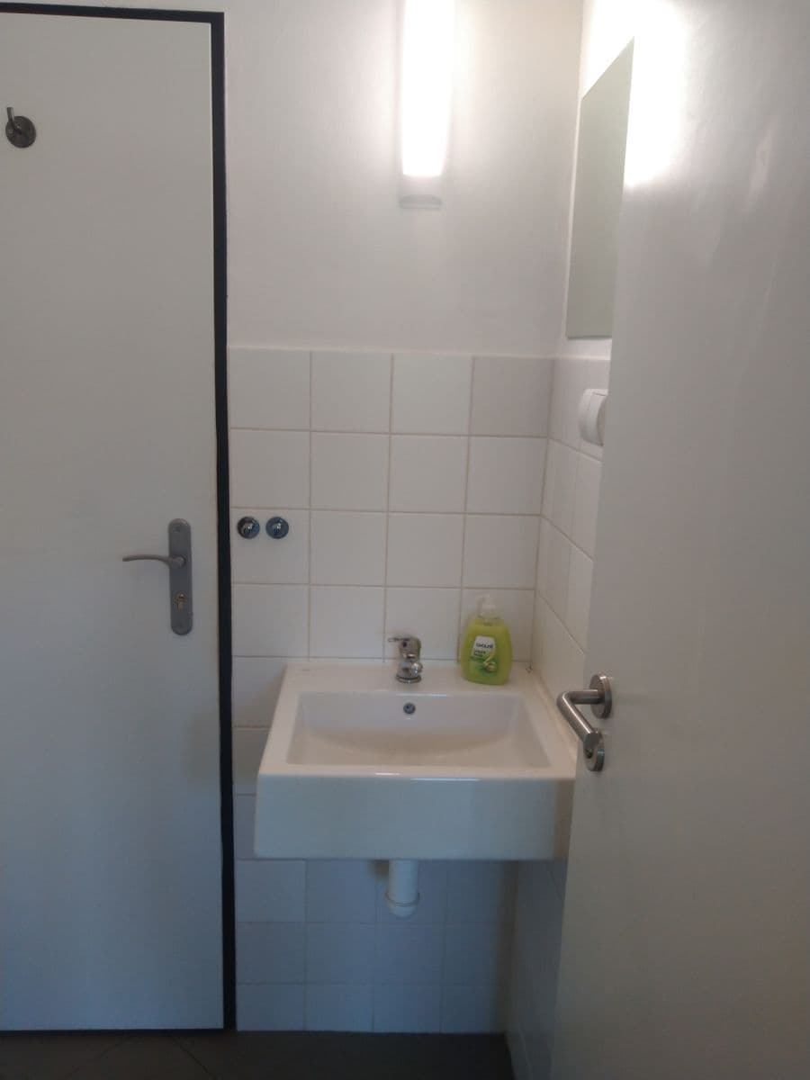 Pronájem bytu  19 m², Ďáblická, Praha, Praha