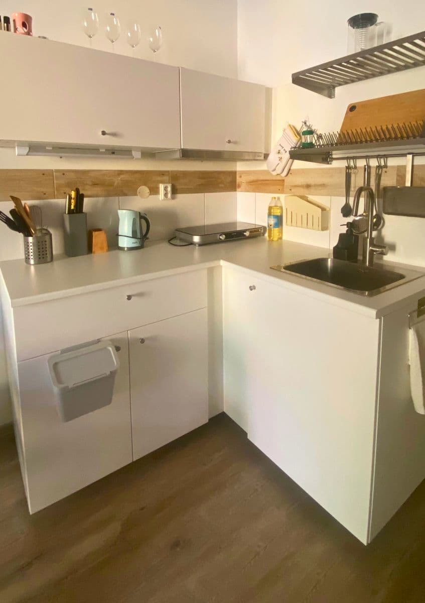 Pronájem bytu  19 m², Lucemburská, Praha, Praha
