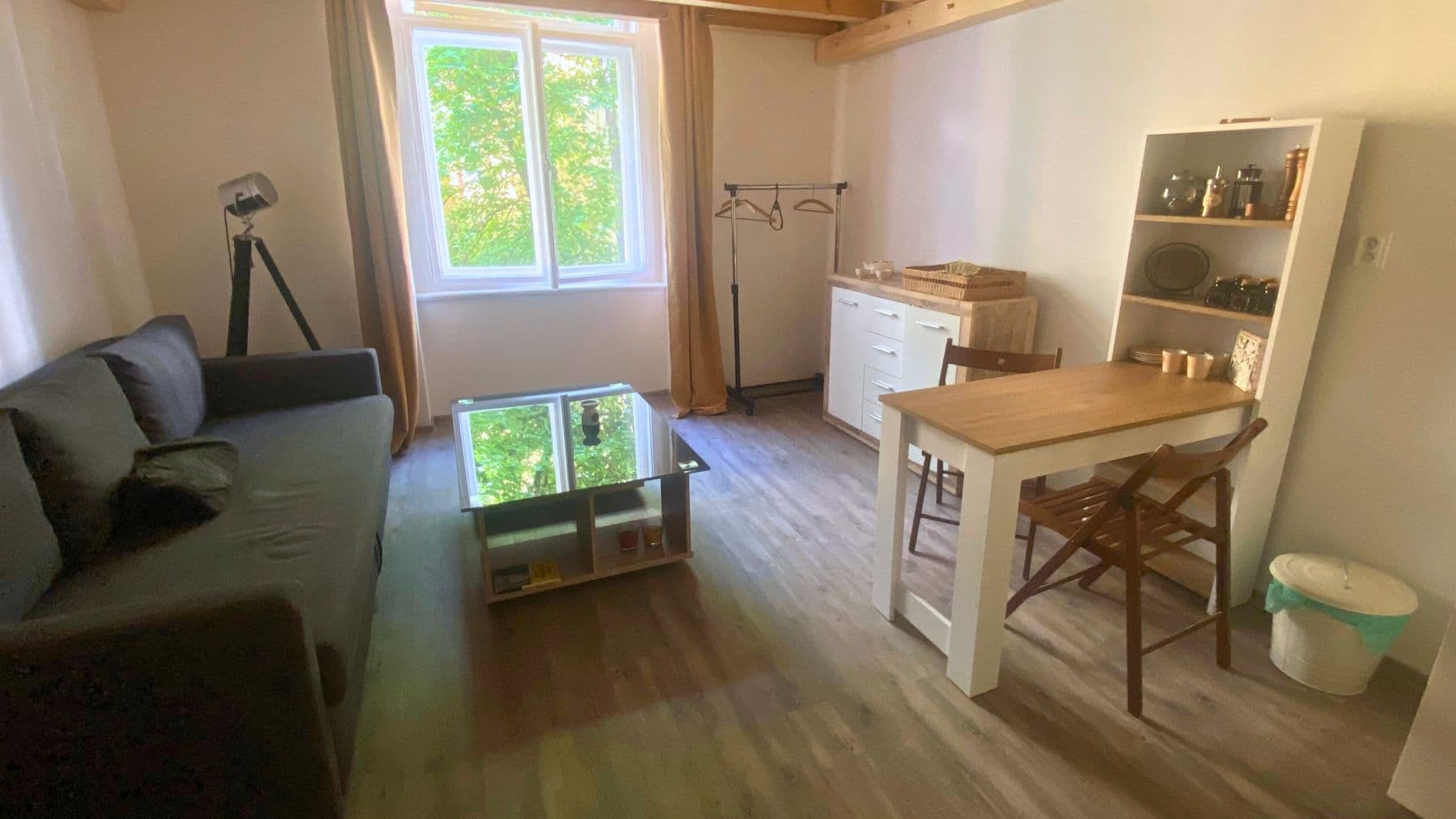 Pronájem bytu  19 m², Lucemburská, Praha, Praha