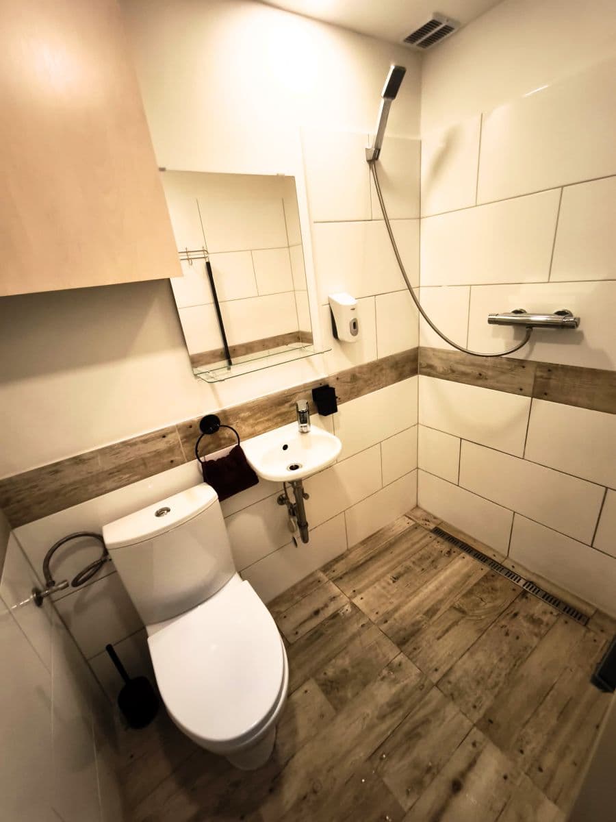 Pronájem bytu  19 m², Lucemburská, Praha, Praha