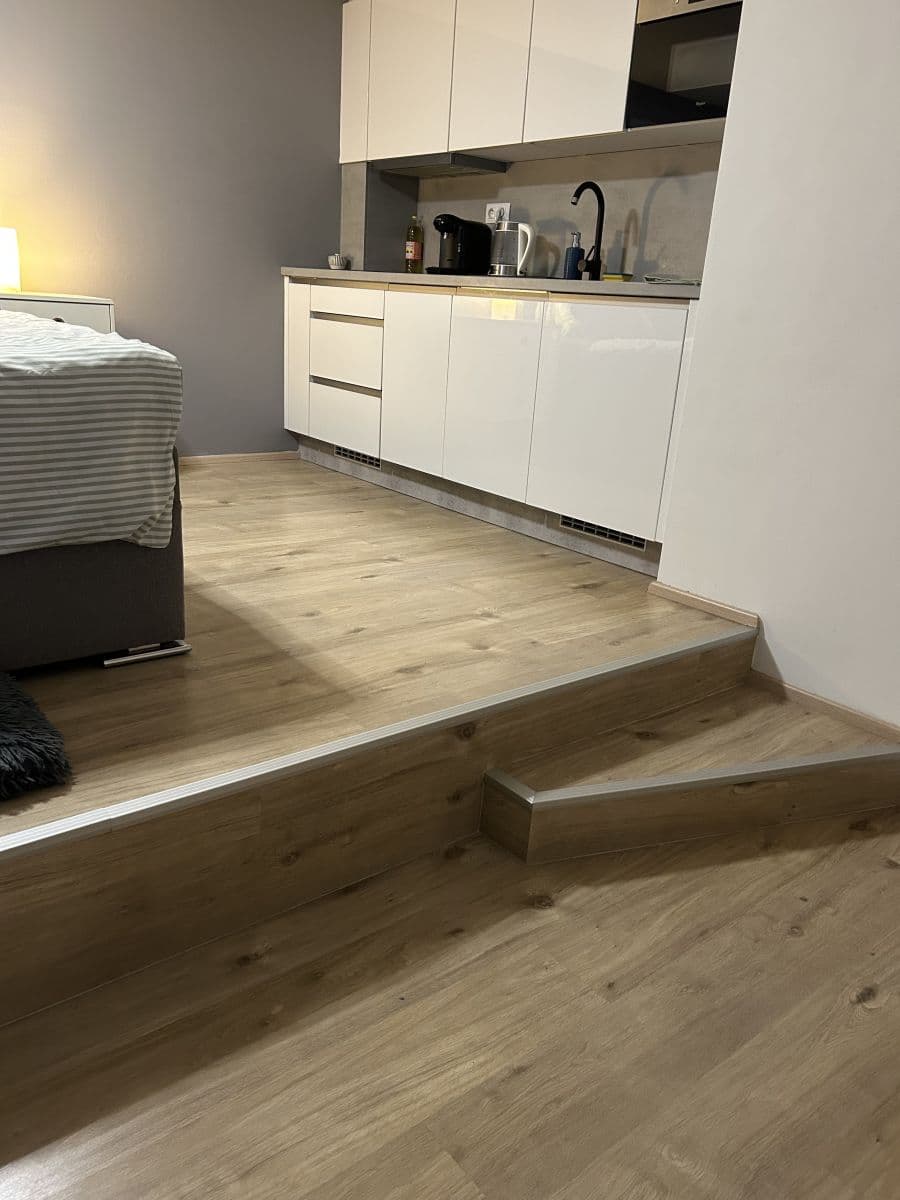 Pronájem bytu  29 m², Rostislavova, Praha, Praha