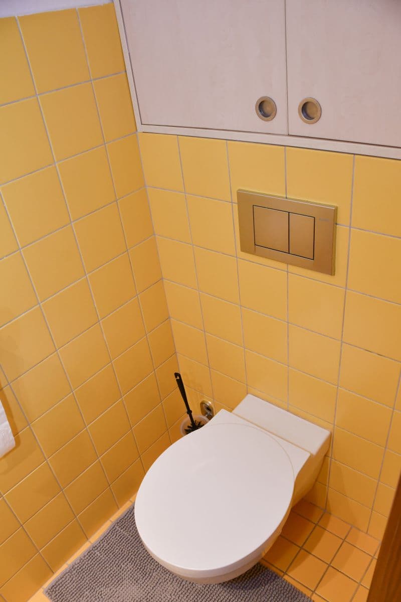 Pronájem bytu  66 m², Marie Cibulkové, Praha, Praha