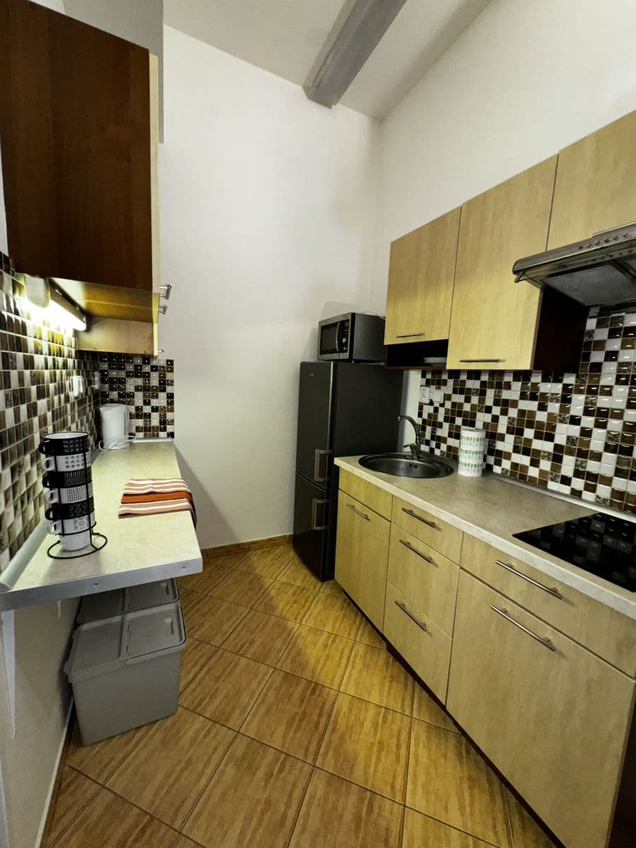 Pronájem bytu  28 m², Drahobejlova, Praha, Praha