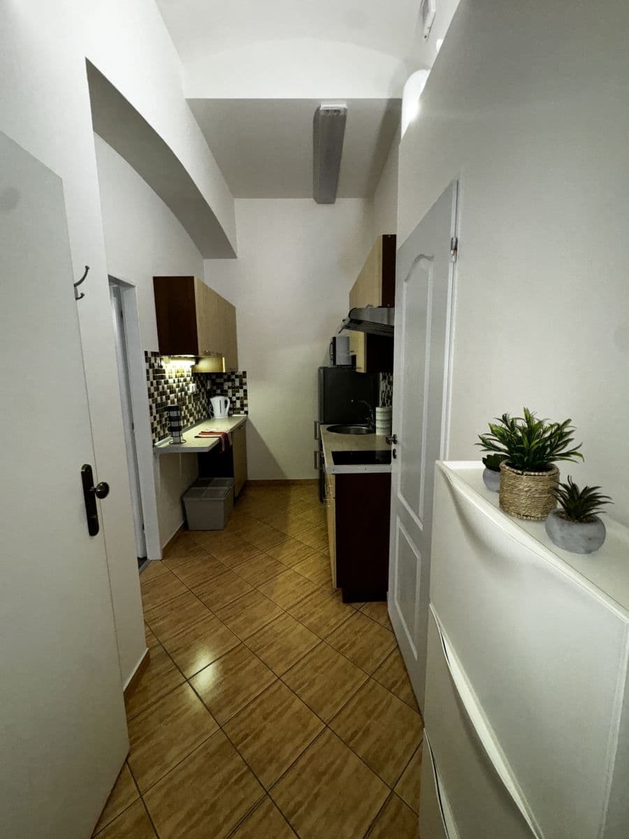 Pronájem bytu  28 m², Drahobejlova, Praha, Praha