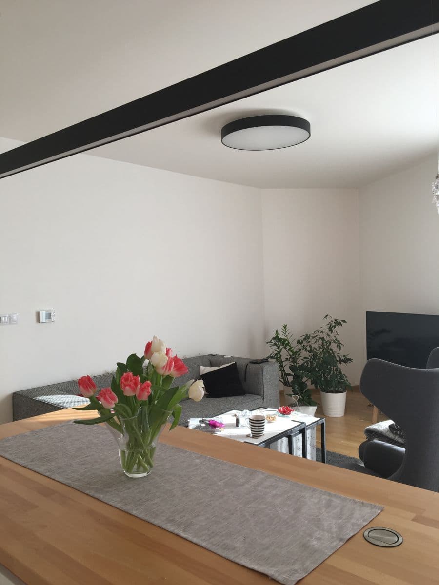 Pronájem bytu  85 m², Olgy Havlove, Praha, Praha