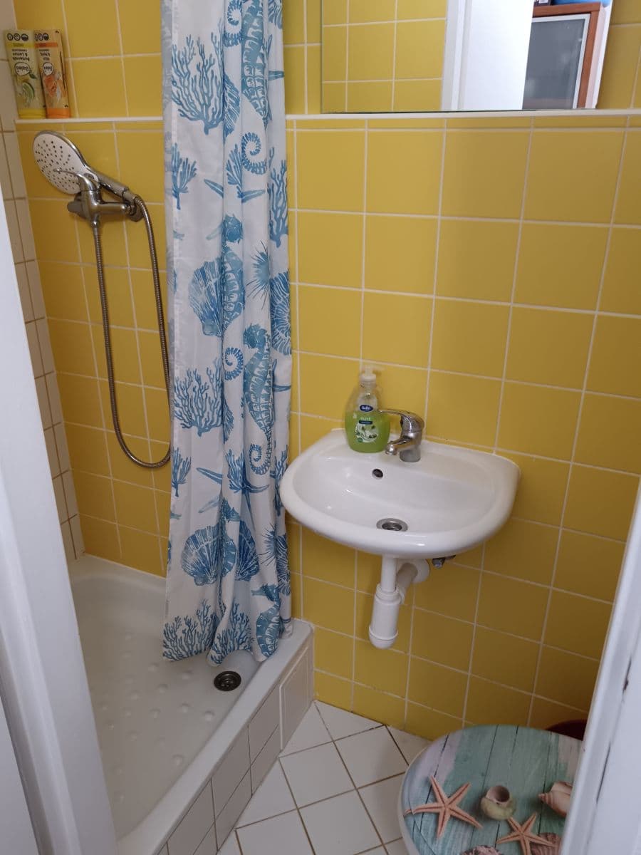 Pronájem bytu  19 m², Krškova, Praha, Praha