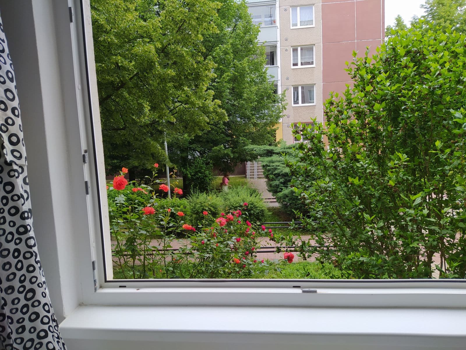 Pronájem bytu  19 m², Krškova, Praha, Praha