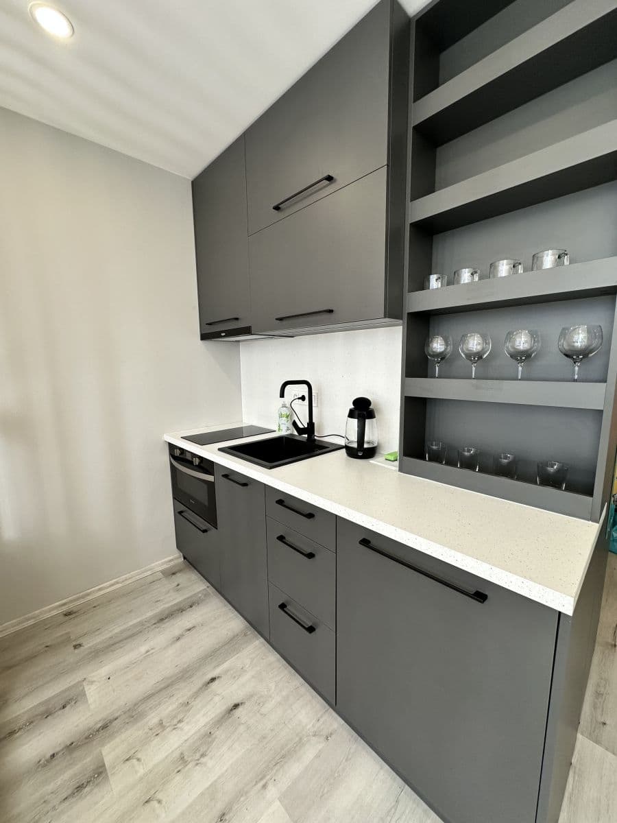 Pronájem bytu  24 m², Děčínská, Praha, Praha