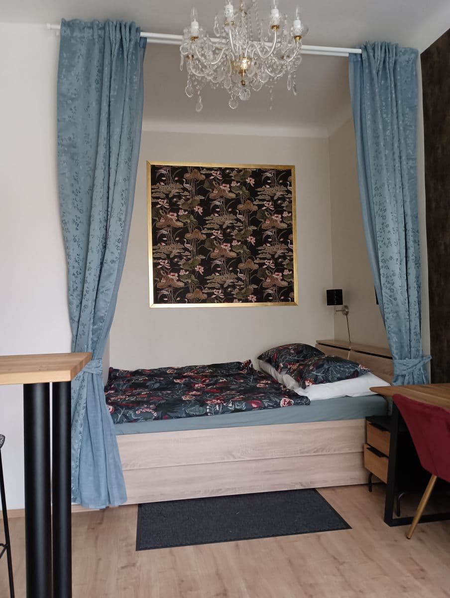 Pronájem bytu  25 m², Klapkova, Praha, Praha