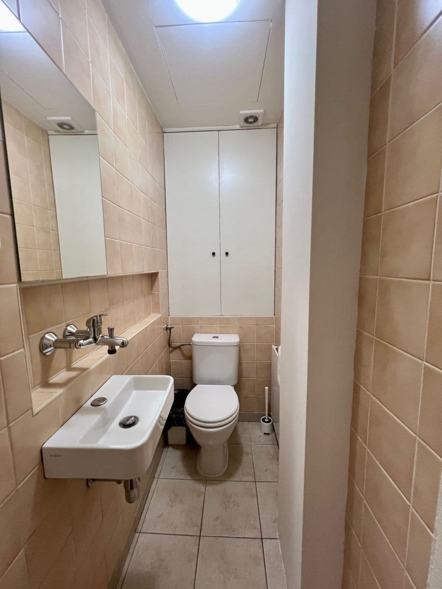 Pronájem bytu  65 m², Ostrovní, Praha, Praha