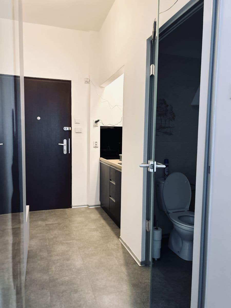 Pronájem bytu  38 m², Dlouhá, Praha, Praha