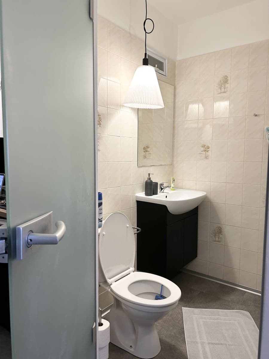 Pronájem bytu  38 m², Dlouhá, Praha, Praha