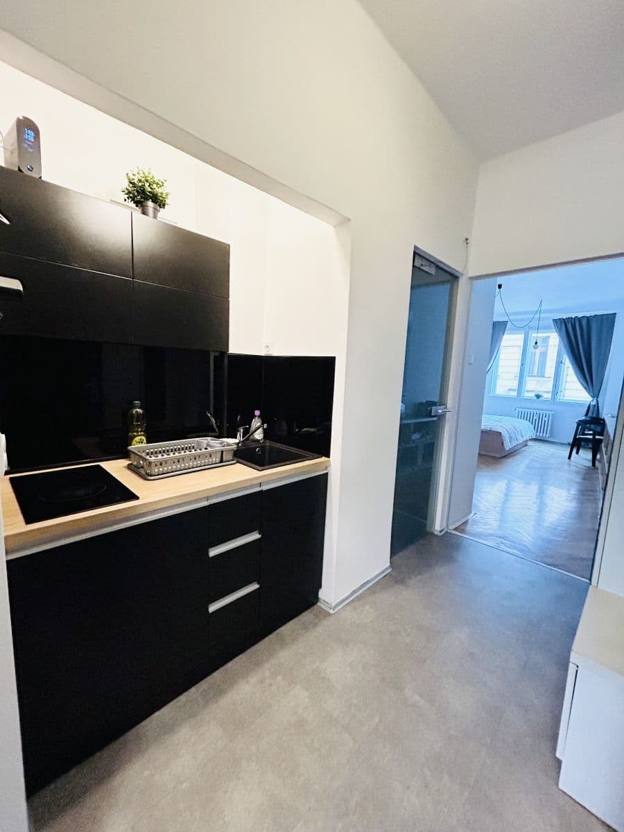 Pronájem bytu  38 m², Dlouhá, Praha, Praha