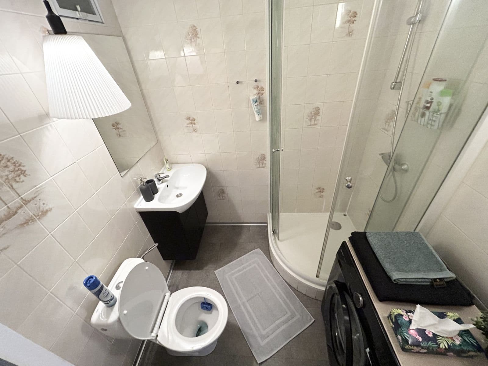 Pronájem bytu  38 m², Dlouhá, Praha, Praha