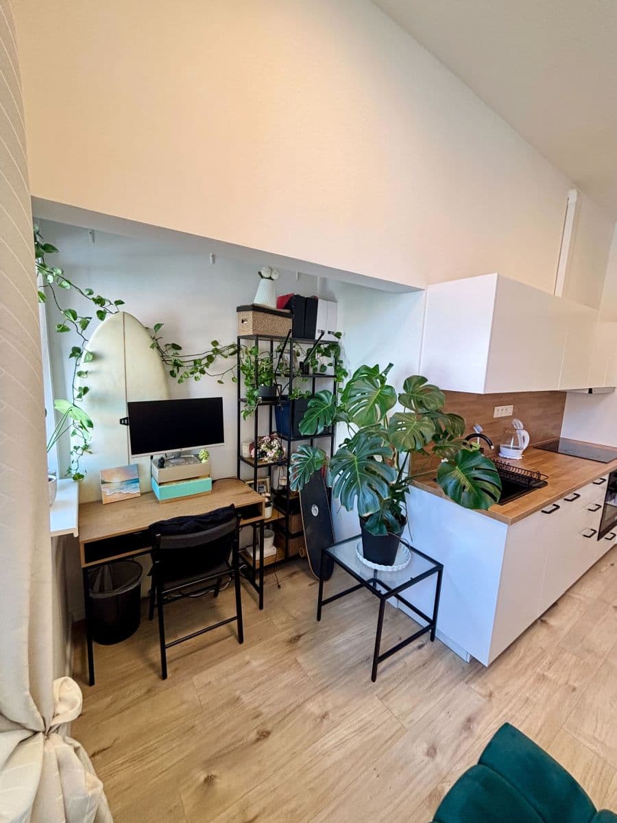 Pronájem bytu  45 m², Zenklova, Praha, Praha