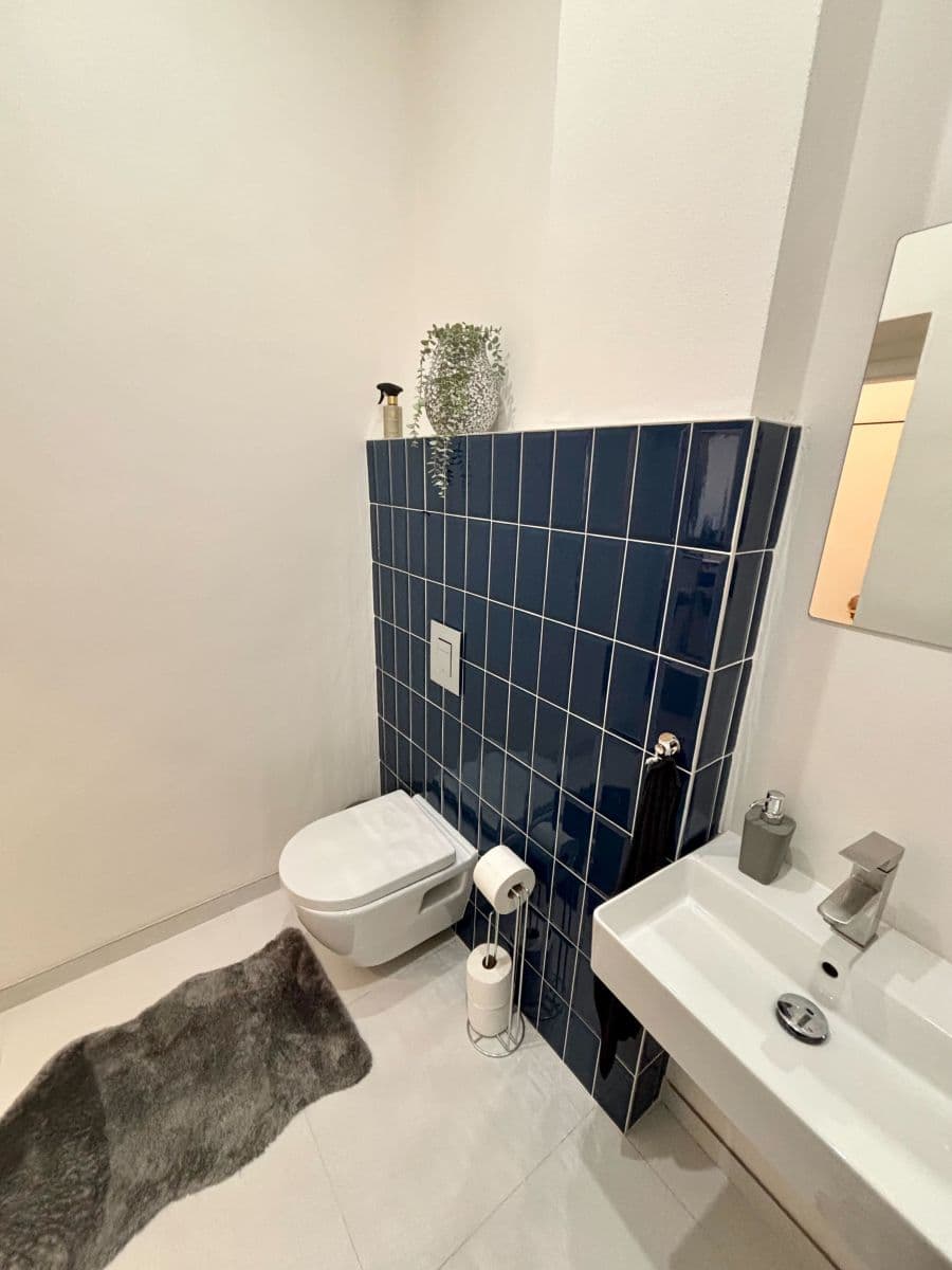 Pronájem bytu  45 m², Zenklova, Praha, Praha