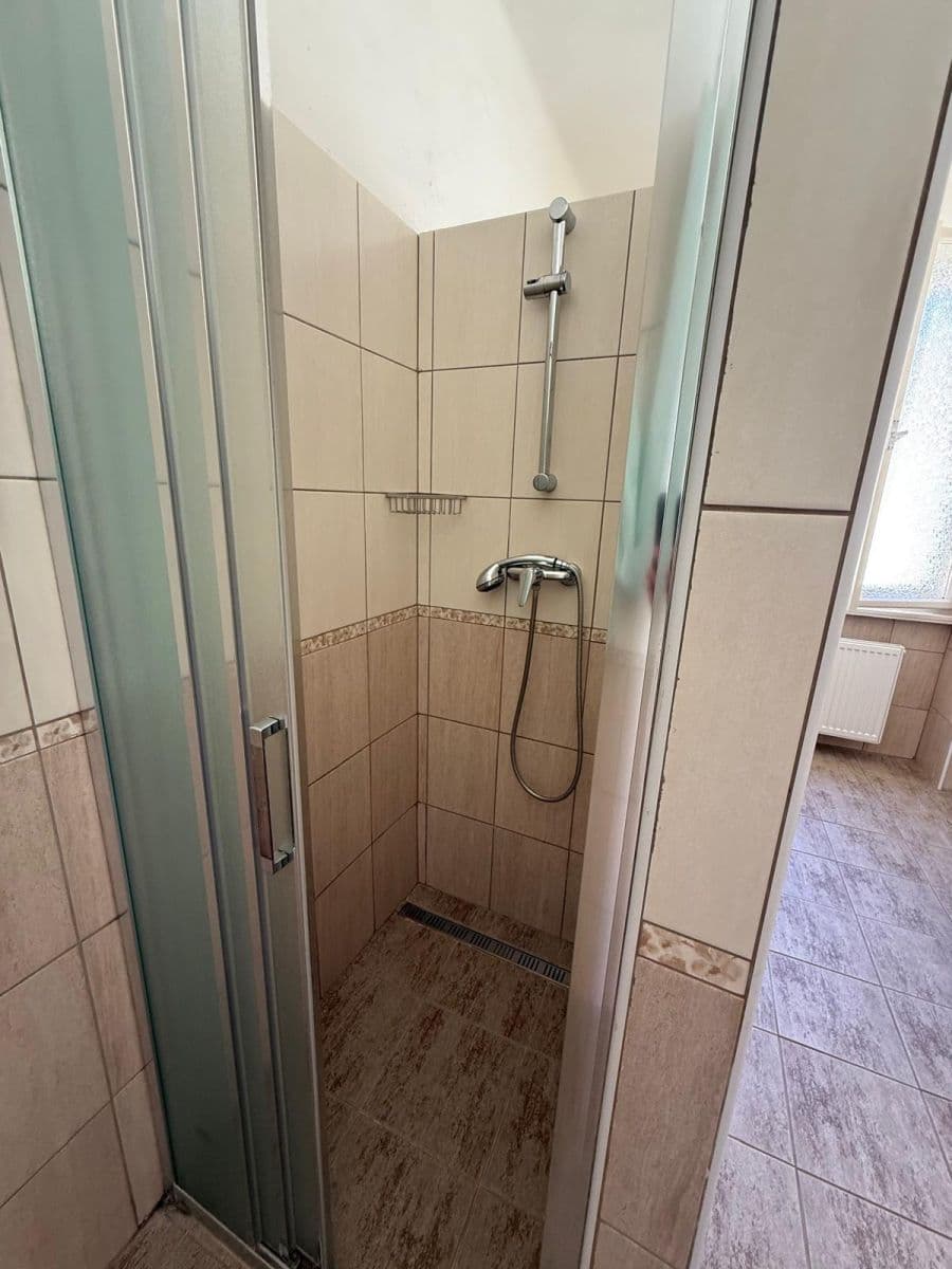 Pronájem bytu  300 m², Lublaňská, Praha, Praha