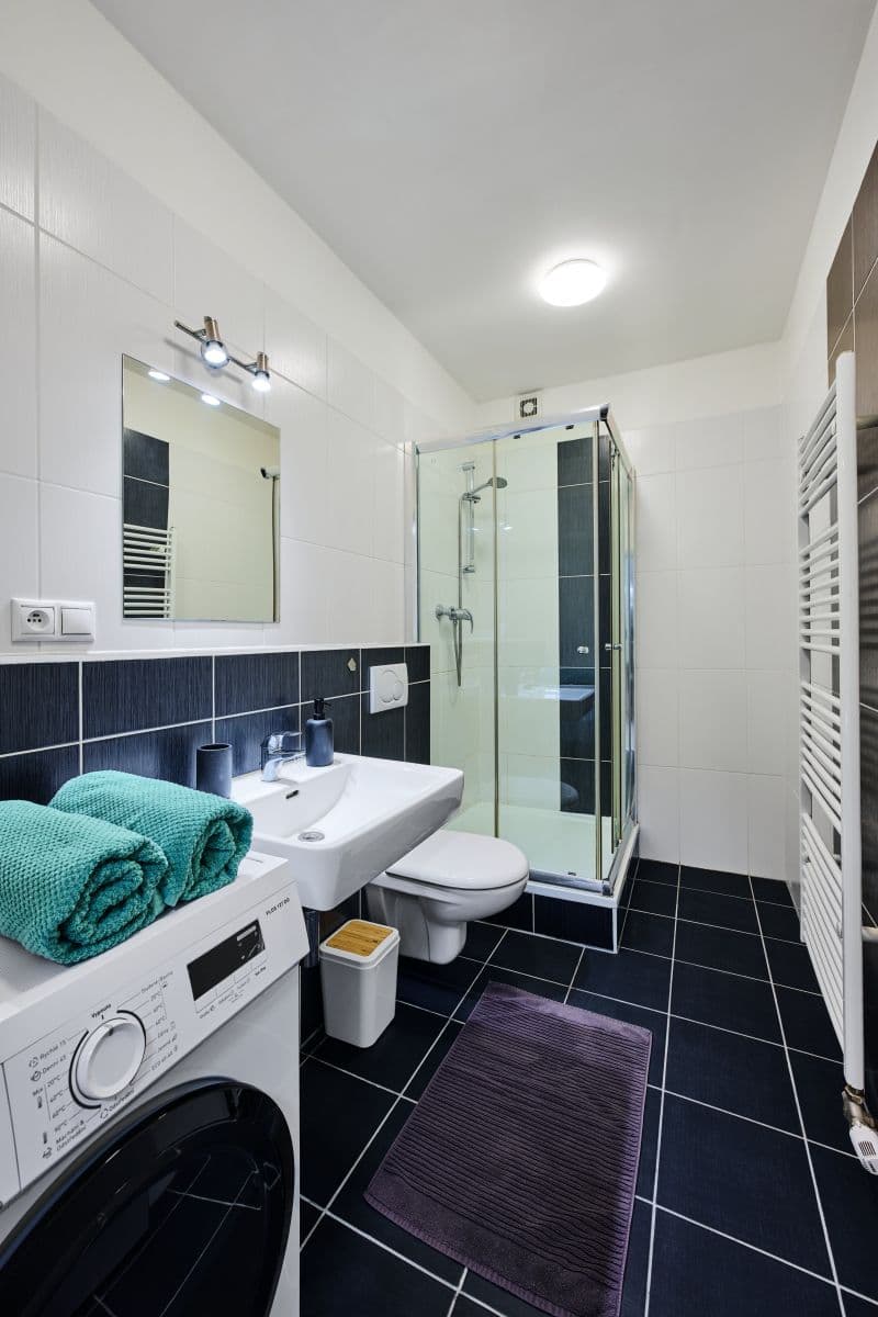 Pronájem bytu  30 m², Mostecká, Praha, Praha