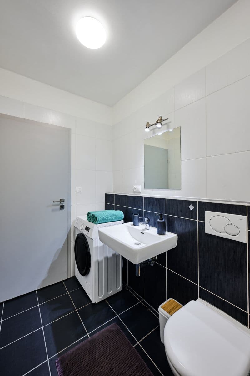 Pronájem bytu  30 m², Mostecká, Praha, Praha