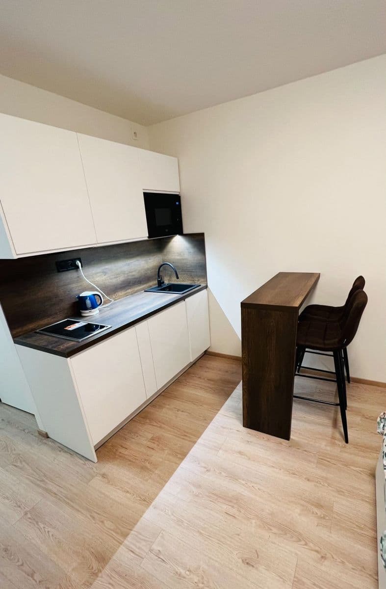Pronájem bytu  23 m², Kubánské náměstí, Praha, Praha