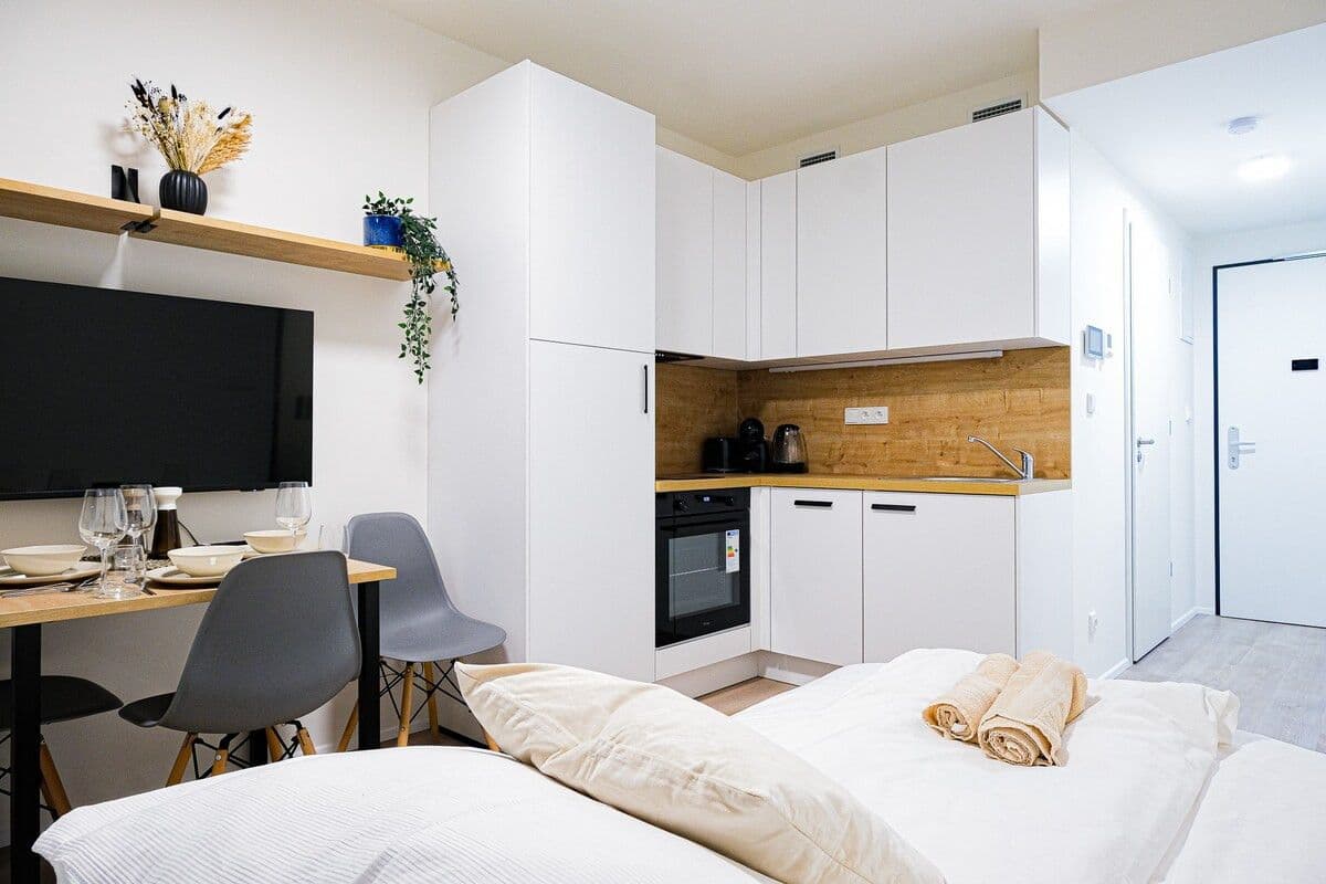 Pronájem bytu  45 m², Plzeňská, Praha, Praha