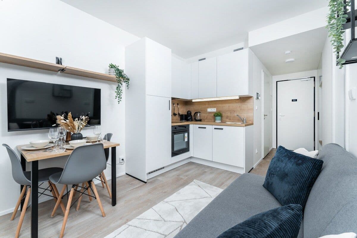 Pronájem bytu  45 m², Plzeňská, Praha, Praha