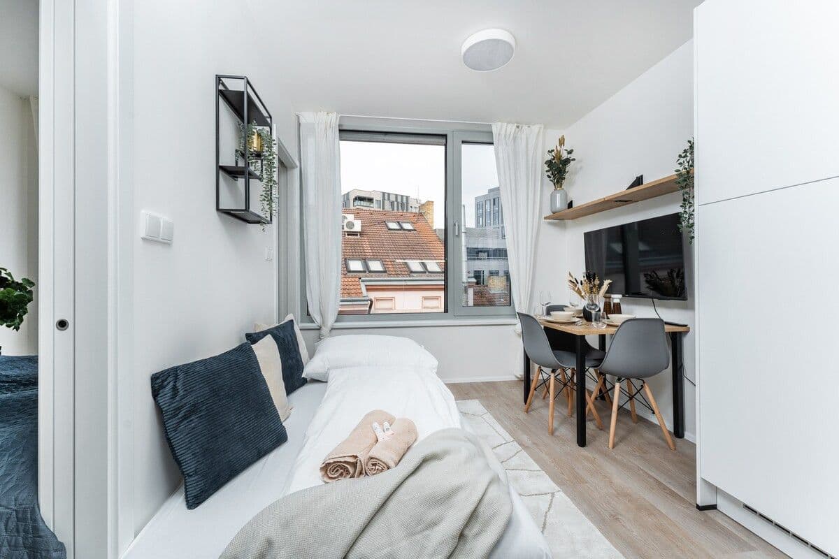 Pronájem bytu  45 m², Plzeňská, Praha, Praha