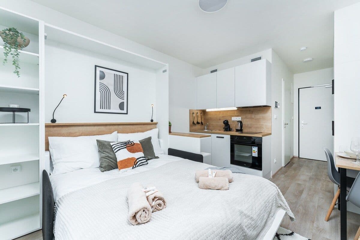 Pronájem bytu  20 m², Plzeňská, Praha, Praha