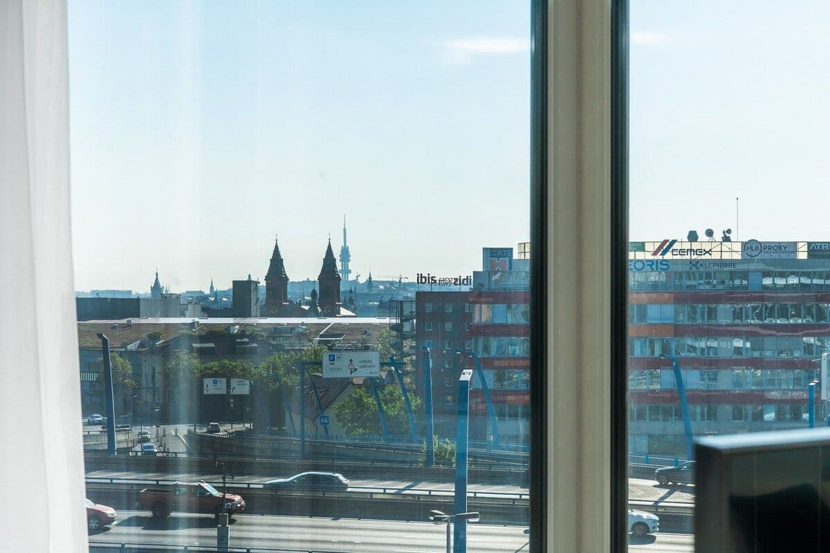 Pronájem bytu  45 m², Plzeňská, Praha, Praha