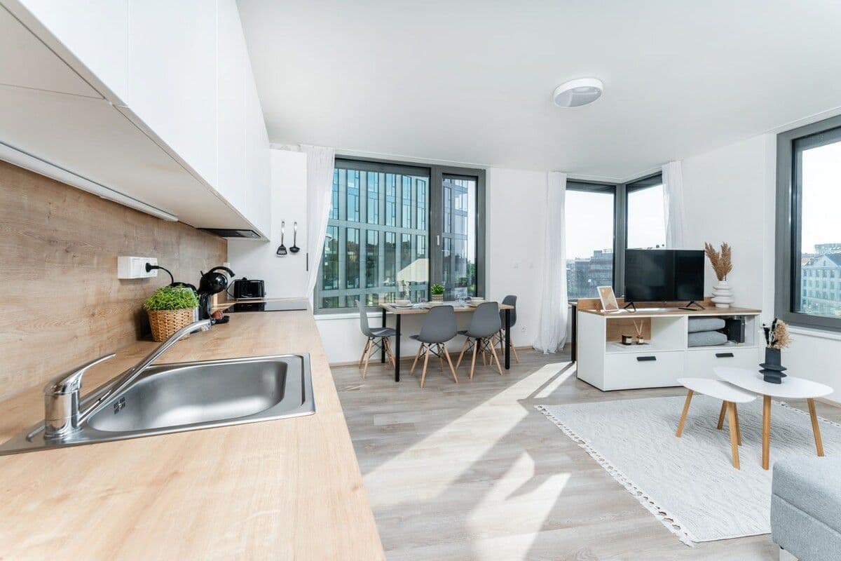 Pronájem bytu  45 m², Plzeňská, Praha, Praha