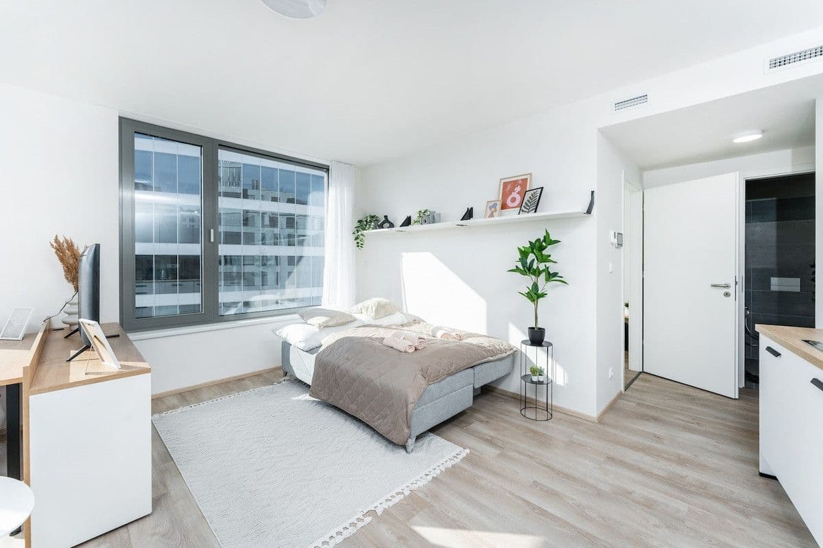 Pronájem bytu  45 m², Plzeňská, Praha, Praha