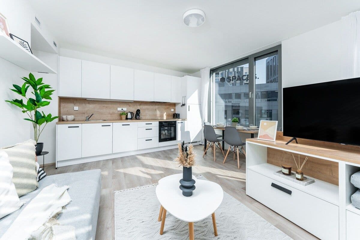 Pronájem bytu  45 m², Plzeňská, Praha, Praha