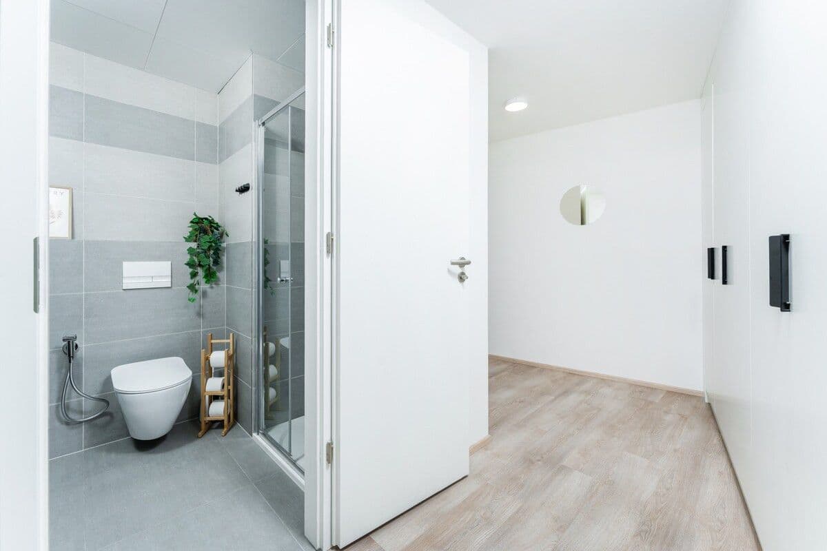 Pronájem bytu  45 m², Plzeňská, Praha, Praha