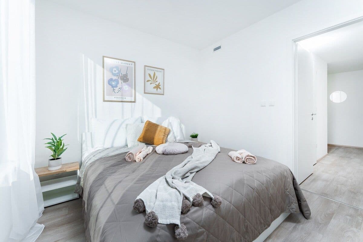 Pronájem bytu  45 m², Plzeňská, Praha, Praha