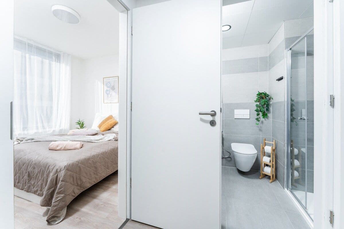 Pronájem bytu  45 m², Plzeňská, Praha, Praha