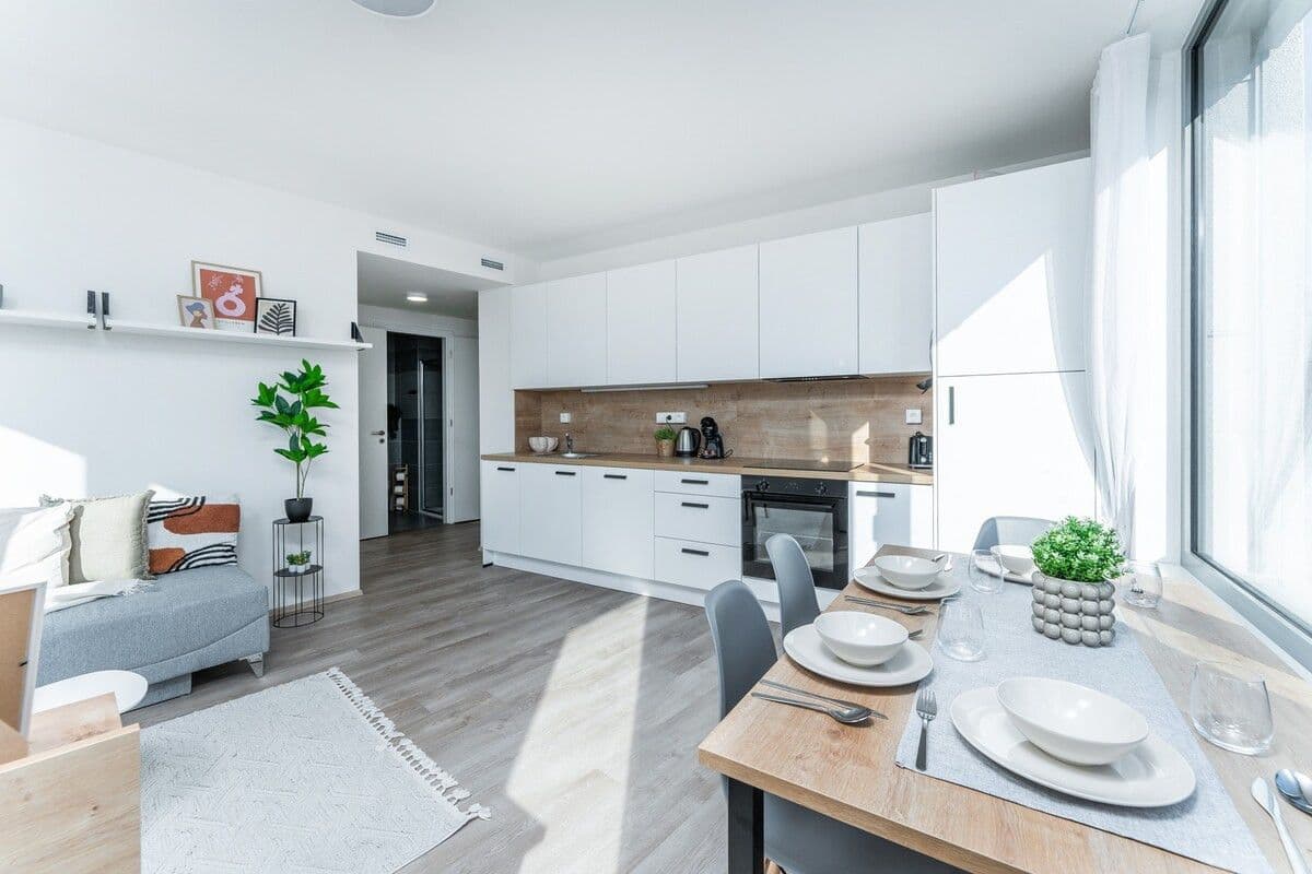 Pronájem bytu  45 m², Plzeňská, Praha, Praha