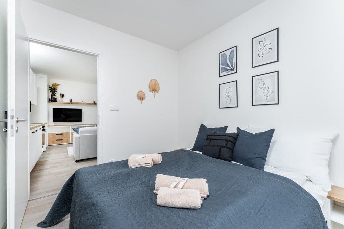 Pronájem bytu  35 m², Plzeňská, Praha, Praha