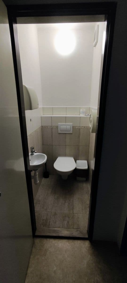 Pronájem bytu  300 m², Lublaňská, Praha, Praha